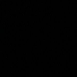 Meet your Posher, Mitchell